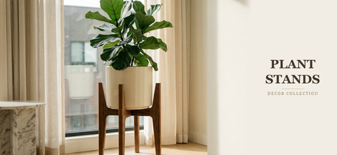Plant Stands