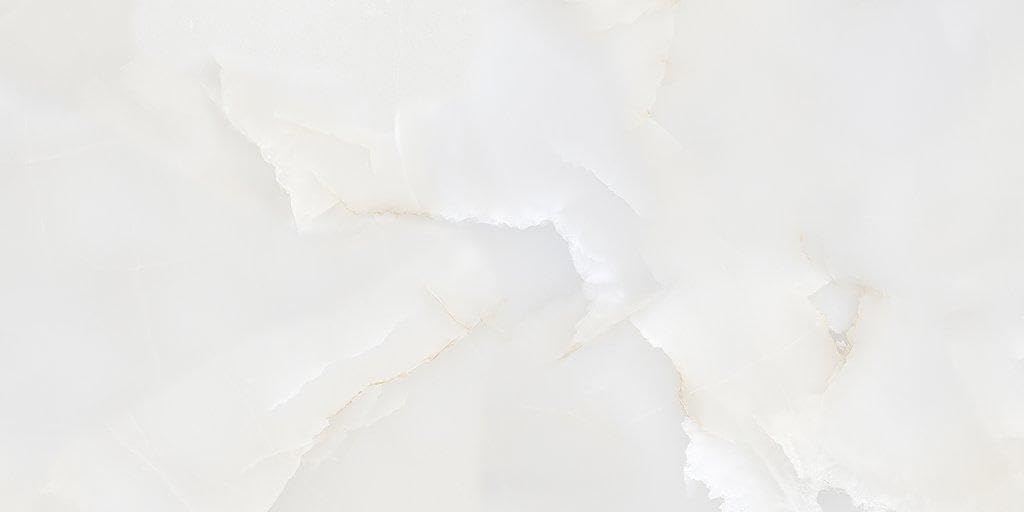MLF MK Glossy Onyx Nimbus 24x48 Porcelain Tile