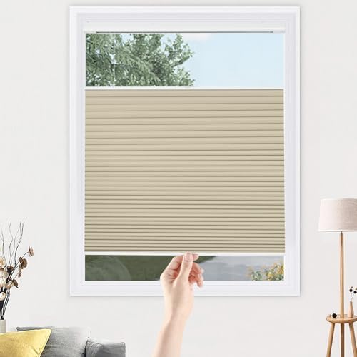 Blinds Cordless Top Down Bottom Up Blackout Cellular Shade f - Beige