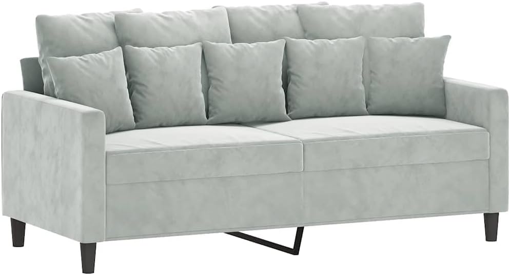 55.1 Inch Velvet 2-Seater Sofa Light Gray with Metal Frame, Small Loveseat , Modern Upholstered Couch with Thick