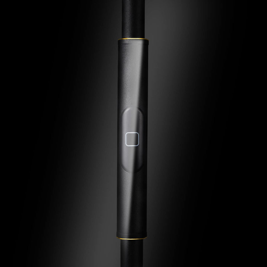 LED Torchiere Floor Lamp with Remote, Stepless Dimmable, Black Gold