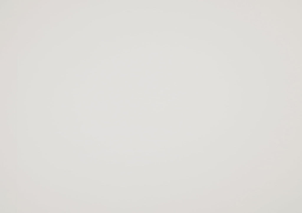 Farmhouse Style Full Size Bed, Classic White Finish, Shiplap Headboard, Modern Bedroom Furniture