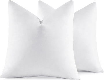 22x22 Pillow Inserts Feather Down Throw Pillows - Set of 2
