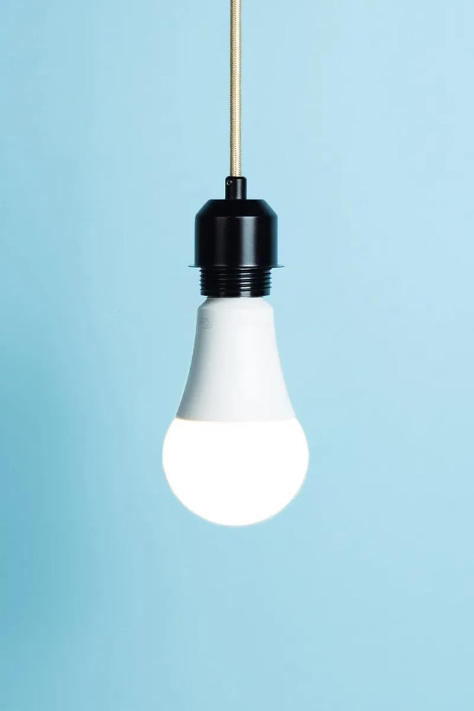 A21 LED Light Bulb 17W E26 1600 Lumen 5000K Bright White 12 Pack