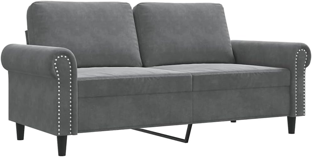 Velvet 2-Seater Sofa Dark Gray 55.1 Inches, Small Loveseat with Sturdy Metal Frame, Thickly Padded Seat and Back