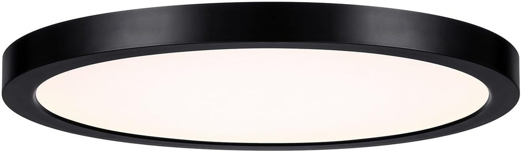 Assets T24 Compliant Outdoor Low Profile Flush Mount, Integrated LED 25 Watt, 1" H x 12" W, Black