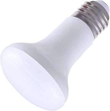 BR20 Flood LED Light Bulb