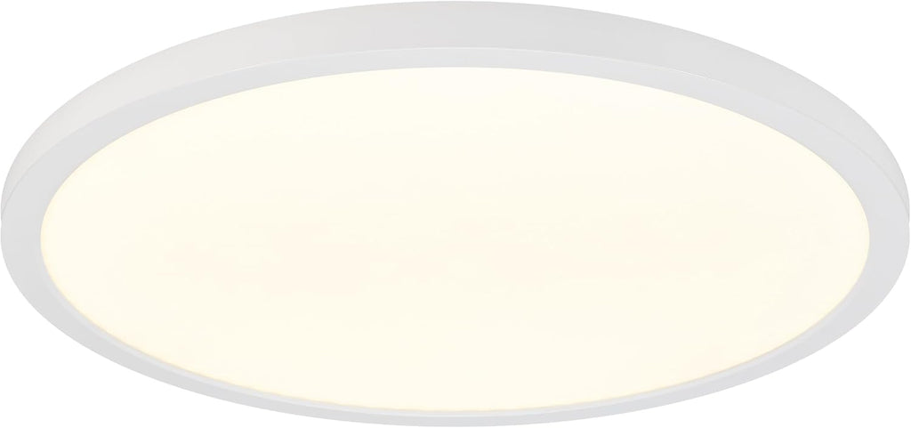 19" White LED Flush Mount Ceiling Light Fixture, 2500 Lumens, 5 CCT | , Round Color Selectable Panel Light, Dimmable