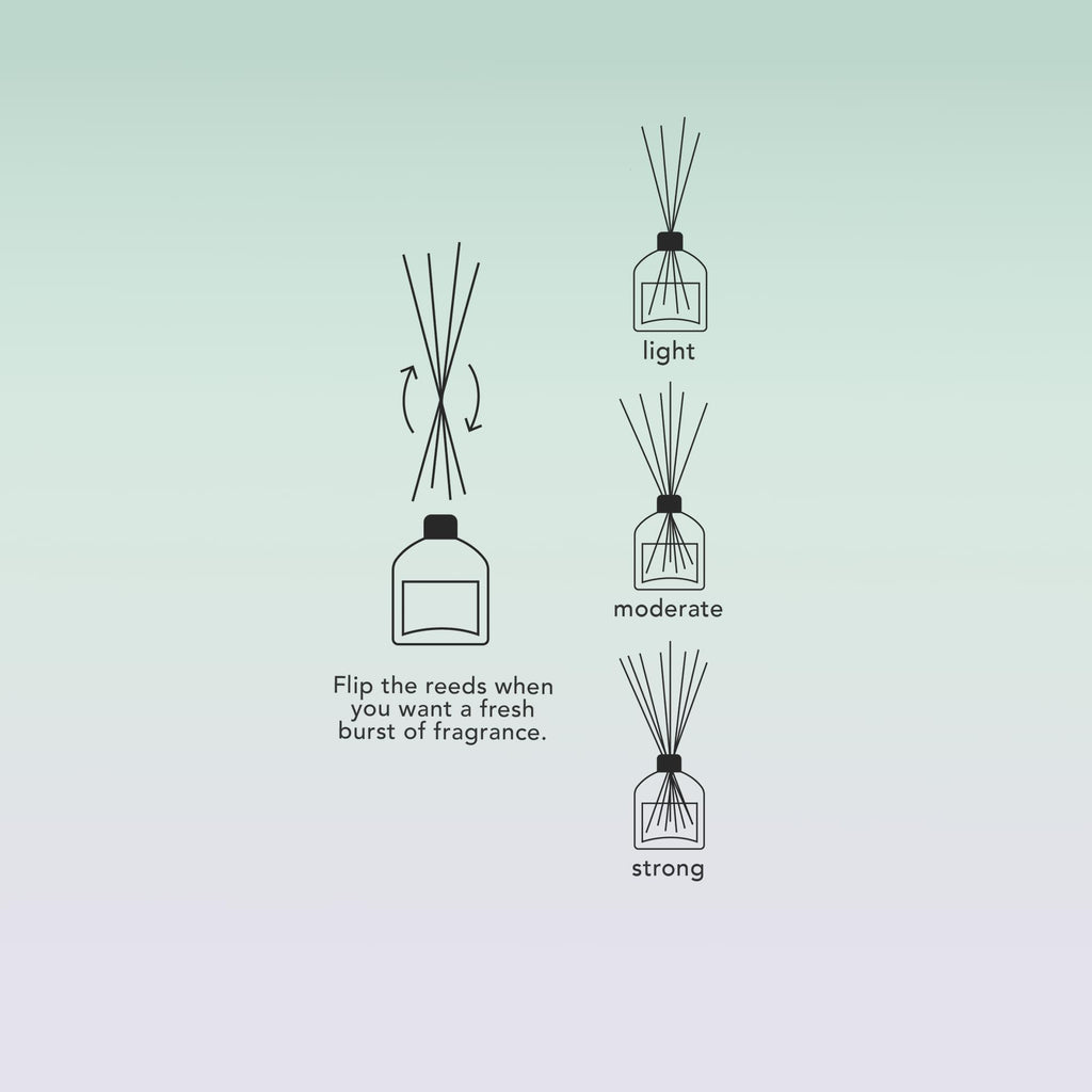 Hotel Scent Reed Diffuser, Luxury Reed Diffuser Collection Reed Diffuser, Hotel Lobby Diffuser, Luxury Diffuser Scent
