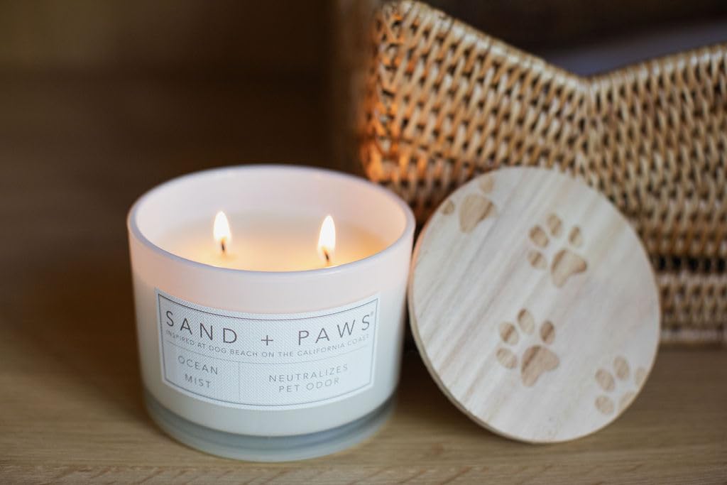 + Paws Scented Candle - Ocean Mist - Additional Scents and Sizes - Luxurious Air Freshening Jar Candles Neutralize