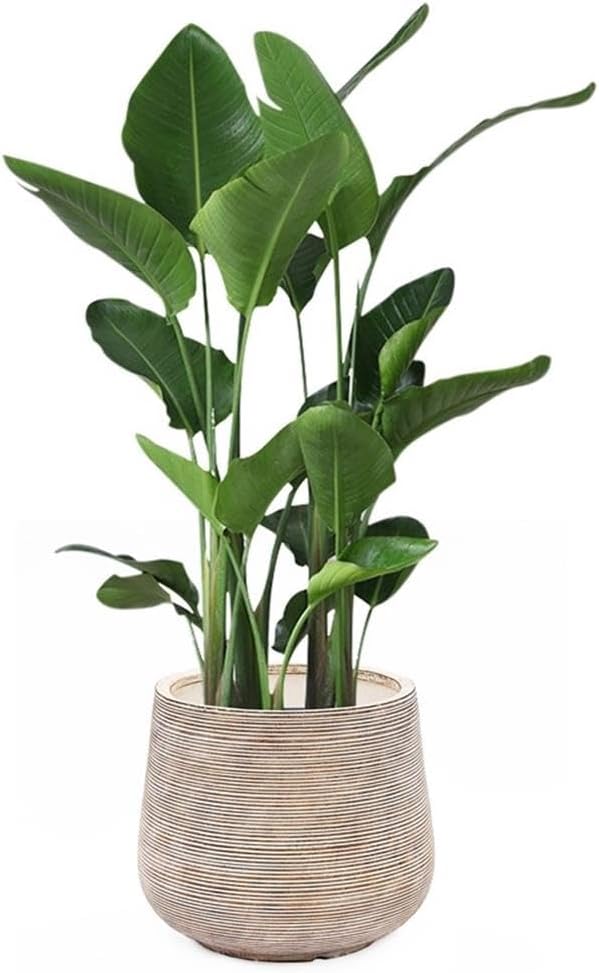 LuxenHome 17" Round Planters for Indoor Plants, Distressed Large Plant Pot | Planter with Drainage Hole and Rubber