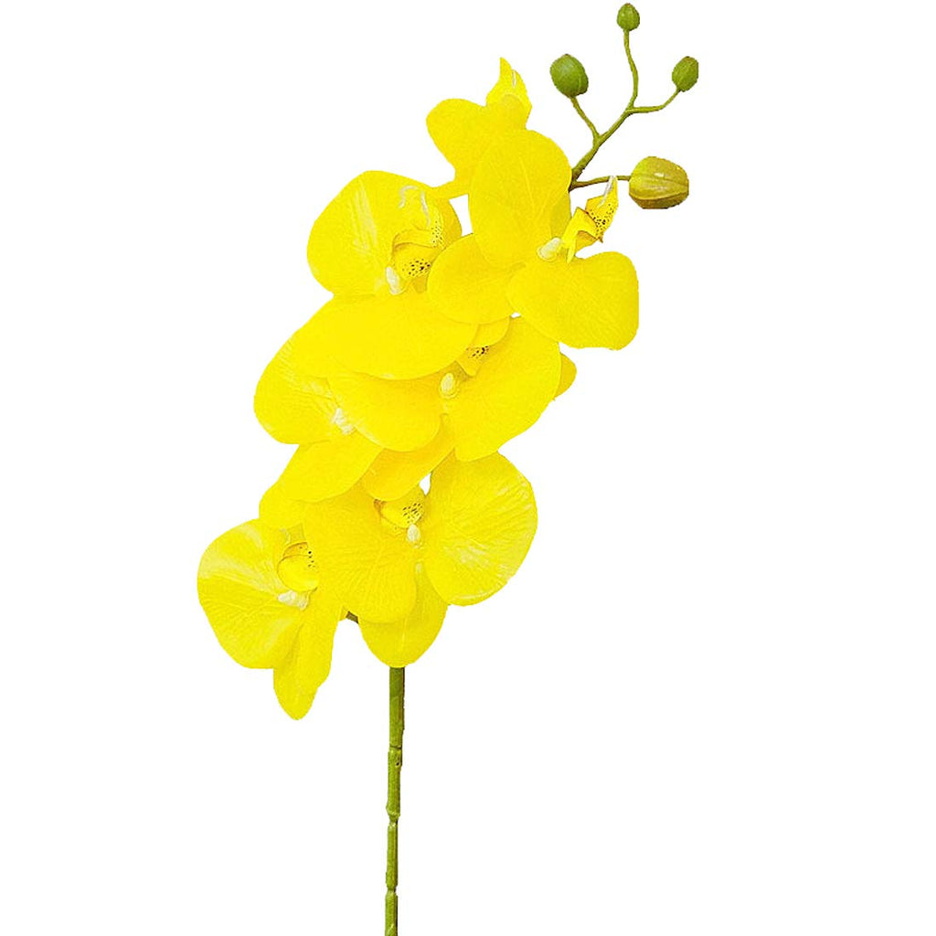 10 Pcs Artificial Real Touch Latex Phalaenopsis Orchid Stem Bouquets with 2 Leaves Artificial Flowers for Wedding