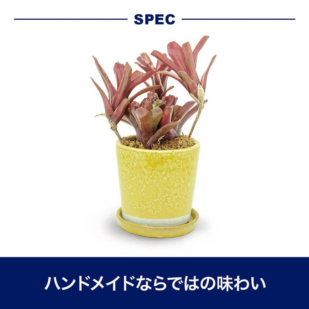 Color Glazed Terracotta Pot - Flower Pot - White - 4.7 x 4.3 Inches - Indoor/Outdoor - Modern Style - 1 Piece