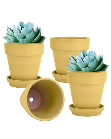 6 Inch Yellow Terracotta & Clay Pots with Saucer, 4 Pack