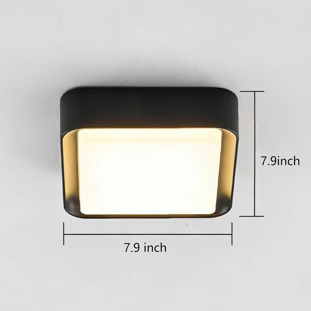 Outdoor Ceiling Light for Porch, Durable & Weatherproof, Easy Installation