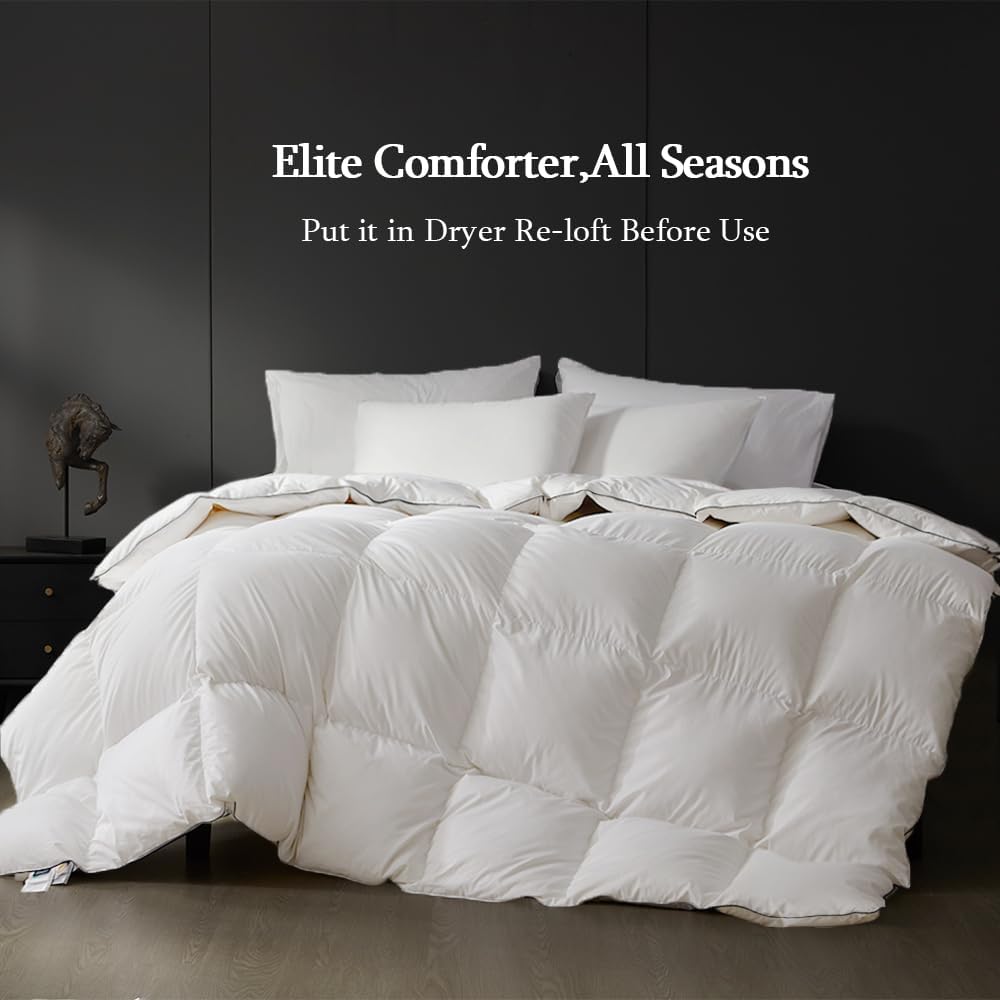 Queen Down Comforter,Medium Weight All-Season Duvet Insert with 8 Loops,Luxury Noiseless Bedding Com