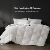 Queen Down Comforter,Medium Weight All-Season Duvet Insert with 8 Loops,Luxury Noiseless Bedding Com