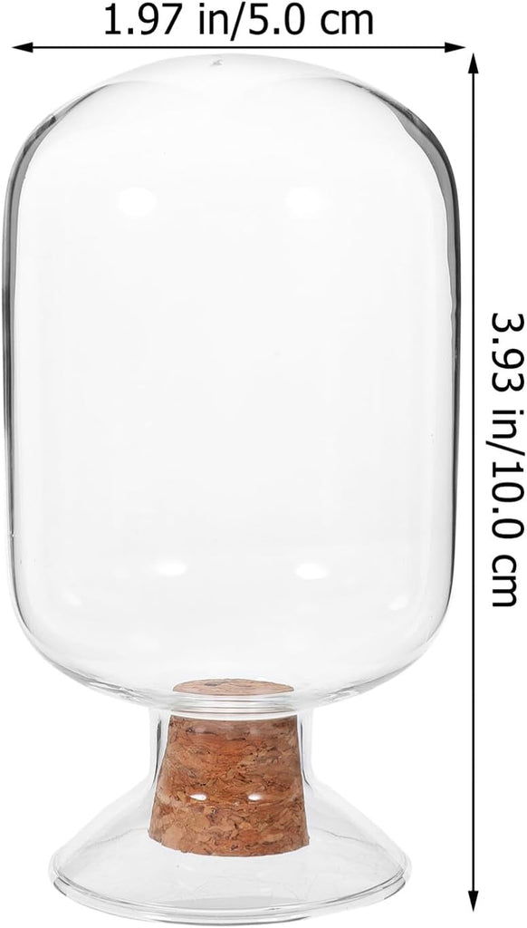 Transparent Glass Match Holder Jar Cork Stopper Storage Container for Matches and Decorative Display for Diy Projects