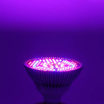 LED Plant Grow Light Bulb, 100W Full Spectrum 150LED E27 for Indoor Plants
