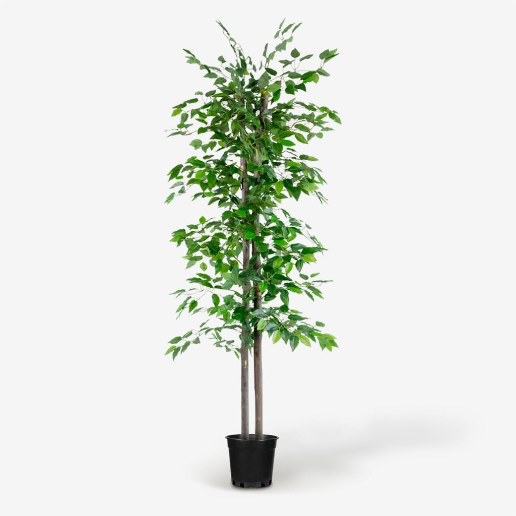 Fake Ficus Tree 6 FT Lifelike Faux Plant Decor