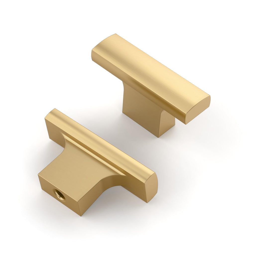 10 Pack Champagne Bronze Cabinet Knobs 2 Inch (50MM) Single Hole Cabinet Pulls Kitchen Cabinet Knobs Drawer Knobs T