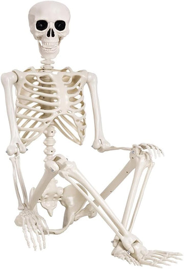 5.4 ft Halloween Skeleton - Life Size Human Skeleton with Full Body Posable Joints - Spooky Scary Plastic Skeleton