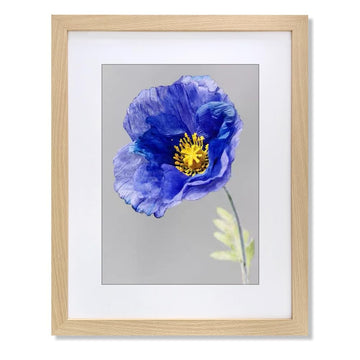 20x24 Frame with 16x20 Mat Wood Color Picture Frame Home Decor-1PCS