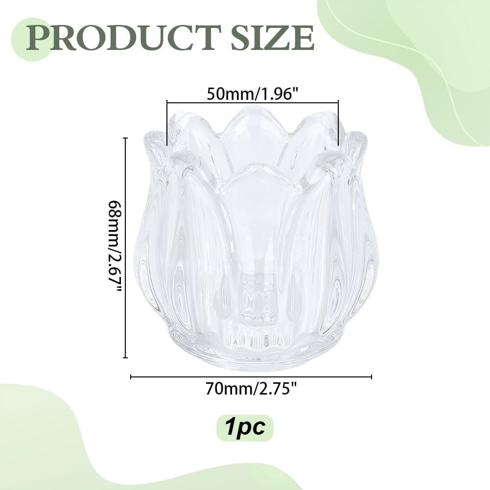 1PC Clear Glass Lily Flower Shape Match Holder Jar