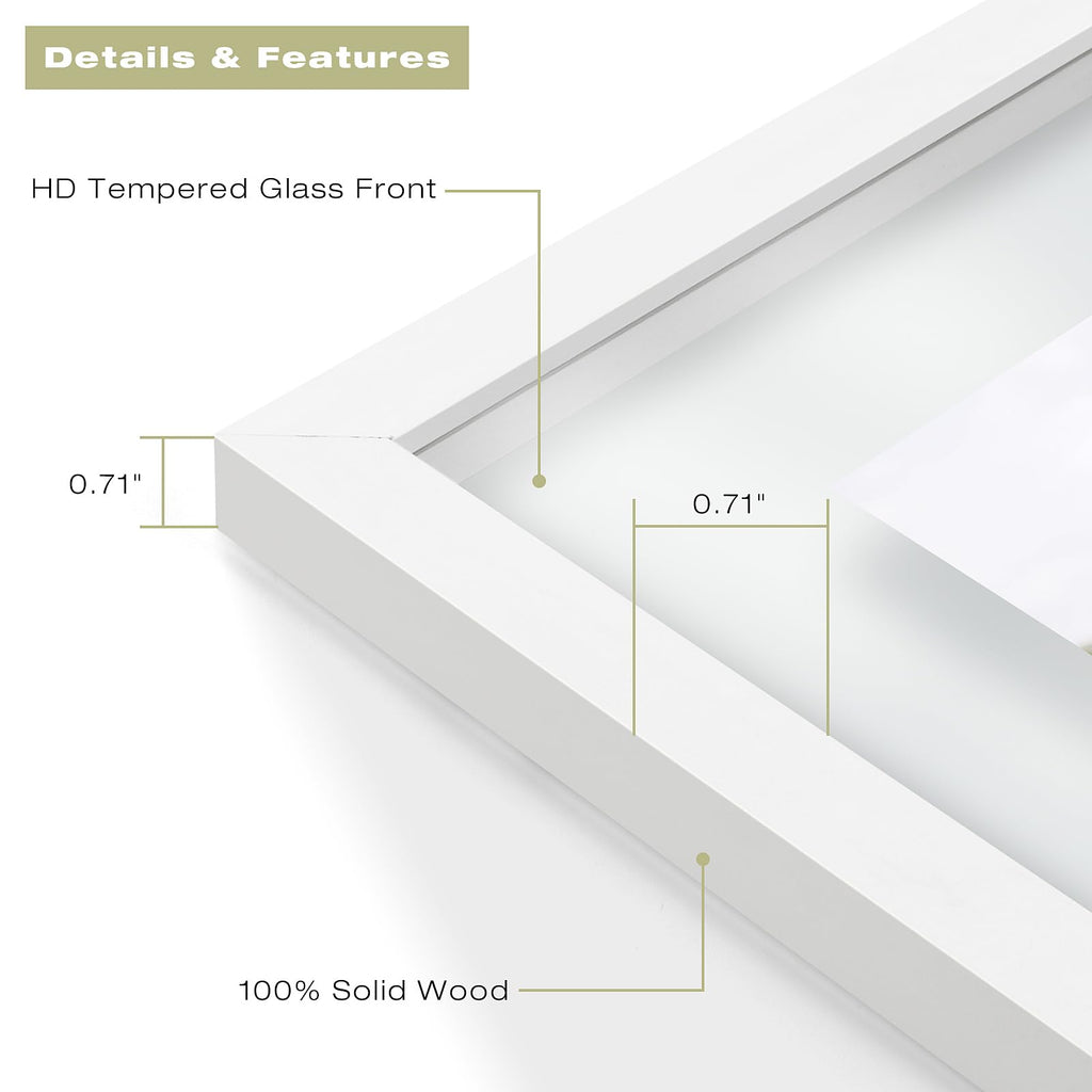 11x14 Floating Picture Frame White - Solid Wood for Pressed Flower -1 Pack