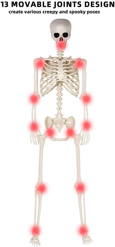 5.4 ft Halloween Skeleton - Life Size Human Skeleton with Full Body Posable Joints - Spooky Scary Plastic Skeleton
