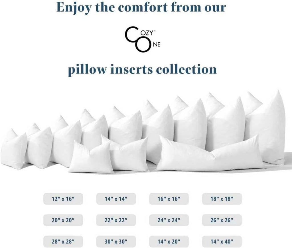 22x22 Feather Down Throw Pillow Inserts 100% Cotton Made in USA - Set of 2