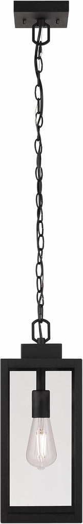 Marin 1 Light 16.25 in. Textured Black Finish Ceiling Mount Outdoor Pendant with Clear Glass Shade