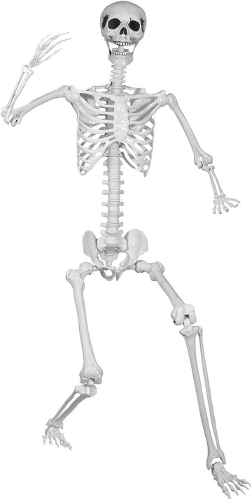 5.9ft/180cm Posable Halloween Skeleton, Life Size Skeleton Bones with Movable Joints for Halloween Graveyard Haunted