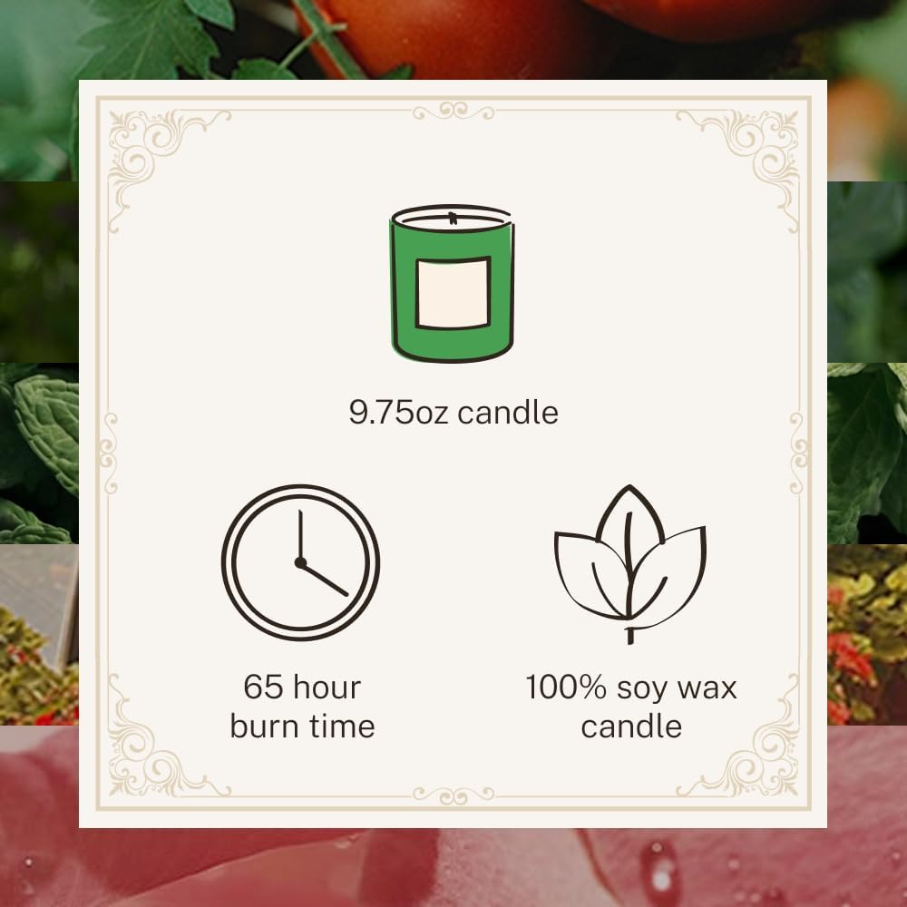 Hotel Lobby Hamptons Candle Luxury Hand-Poured 9.75oz Soy h Green Tomato, Basil, Mint, Geranium, Rosewater