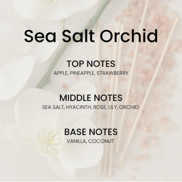 Ocean Mist & Sea Salt Room Spray-5.07 oz (150 ml) Scented Air Freshener Odor Eliminator Spray & Linen-Long-Lasting