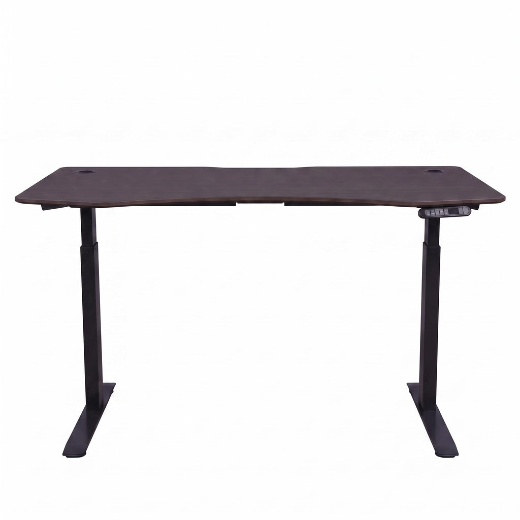 Elite Pro Series 60" x 27" Electric Height Adjustable Stand up Desk, Sit Stand Home Office Desk, Computer Desk