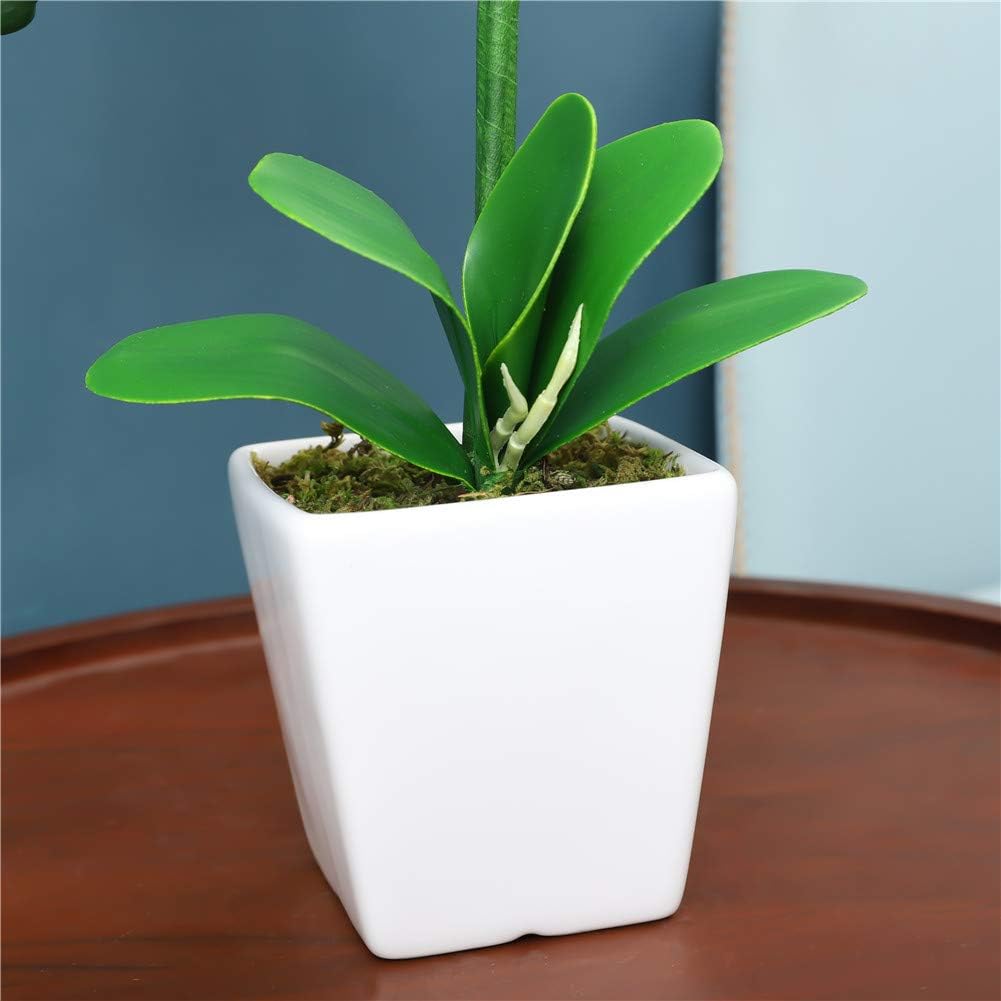 15" Silk Phalaenopsis Orchid in Square Pot, Navy Blue Flower Arrangements