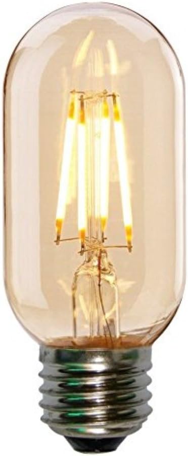 T45 Vintage Edison LED Bulbs LED T45 Filament Bulb T14/T45 LED Tubular Light Bulb Dimmable 4W (40W Equivalent) 2300K