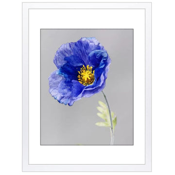 18x24 Frame with 16x20 Mat White Picture Frame Home Decor-1PCS