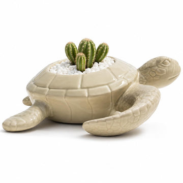 9 Inch Sea Turtle Succulent Planter, Coastal Decor