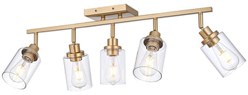 Multi-Directional Rotating Kitchen Tracking Lights Gold, Modern Track Lighting Fixture with Clear Glass