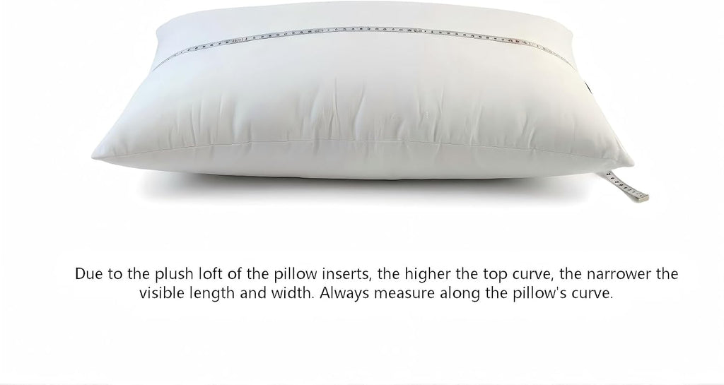 20x20 Throw Pillow Inserts 2-Pack for Sofa, Polyester Fill - Set of 2
