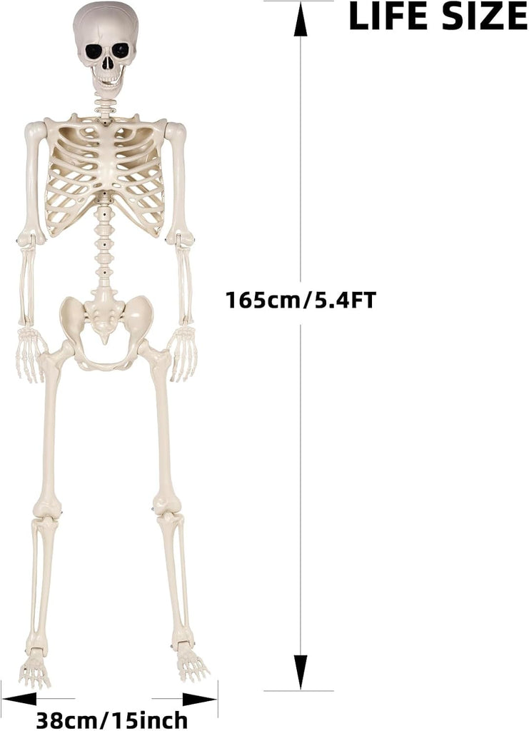 Halloween Skeletons Decorations - 5.4FT Life Size Posable Skeletons, Realistic Plastic Full Body Skeletons Yard Patio