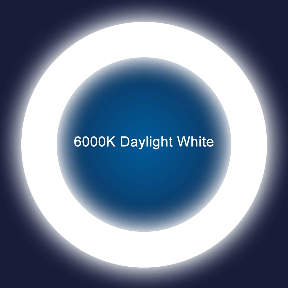 T9 LED Circline Light Bulb, 8 Inch 1600LM LED Circular Light, 13W Clear Cover 6000K Daylight Replacement for FC8T9/CW