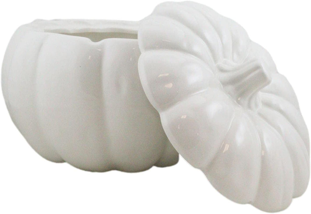 Ceramic Stoneware White Harvest Pumpkin Bowl With Lid 6" Diameter (8)