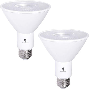 2 Pack PAR30 Outdoor LED Flood Light Bulb 12W 100 Watt Equivalent 900 Lumens Dimmable Waterproof E26 3000K Warm White