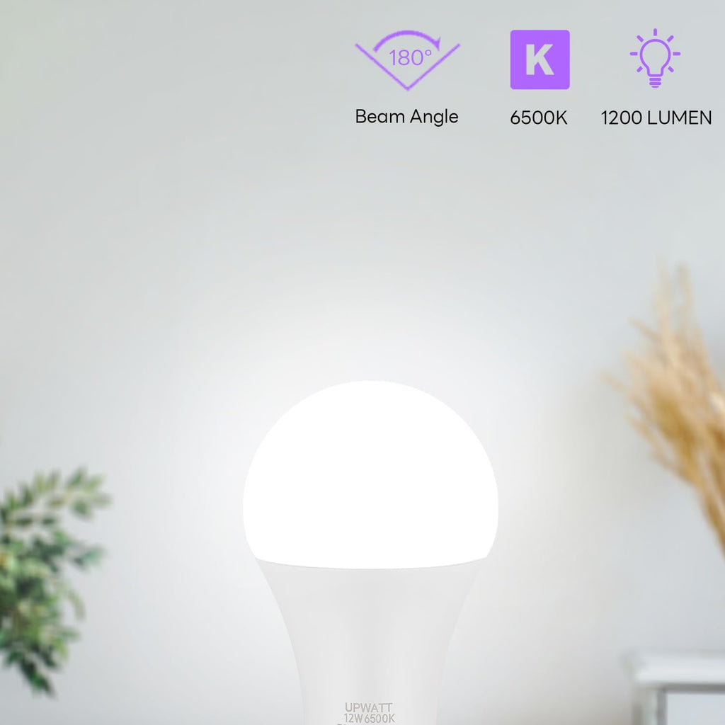 LED Light Bulbs 100 Watt Equivalent, A19 Daylight 6500K 12W 10 Packs