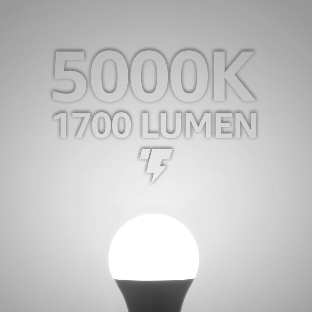 Universal Garage Door Opener LED Bulb A19, 5000K