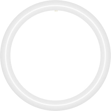 16 inch T9 Circline Type A Plug & Play LED Lamp, Cool White (4100K) Direct Replacement for 40W FC16T9/CW, FCL40