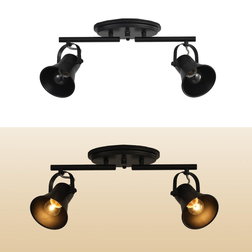 Track Lighting Kit,Black Semi Flush Mount Ceiling Light with 2 Rotatable Light Heads,Industrial Accent,Art
